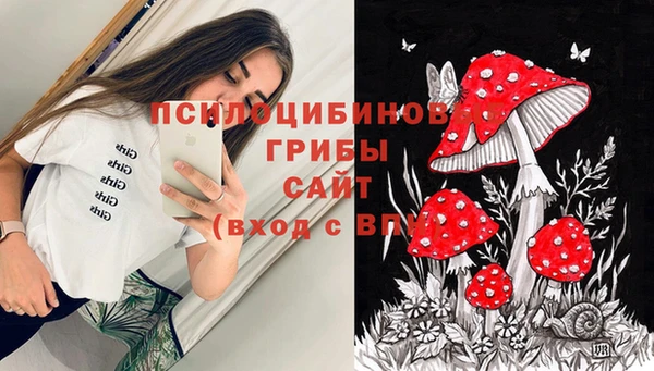 МДПВ Бронницы