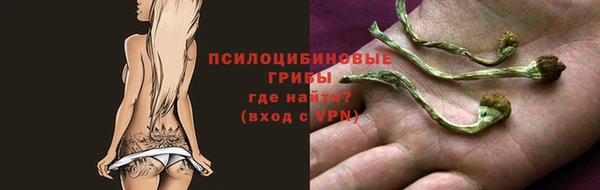 Альфа ПВП Бугульма