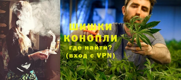 МДПВ Бронницы
