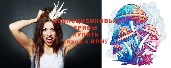 Альфа ПВП Бугульма
