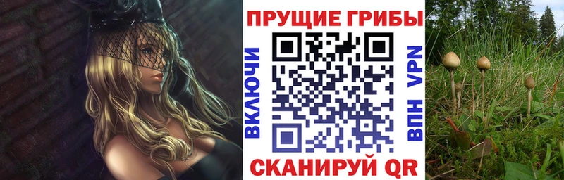 Псилоцибиновые грибы ЛСД  Купить закладки  Нерчинск 